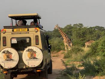 Allanblackia Safaris Photo