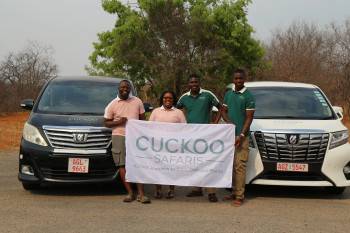Cuckoo Safaris Photo