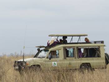 kenya bush Safari Vehicle 