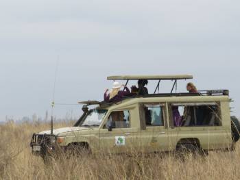 Kenya Bush Expeditions Photo