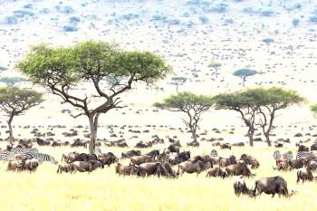 Namu Travel Group ‘NTG’ Photo