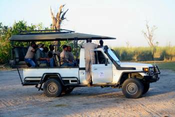 African Palm Safaris Photo