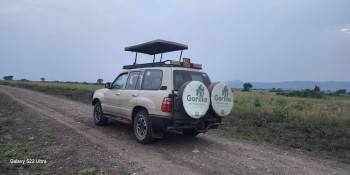 Gorilla Pathfinders Photo