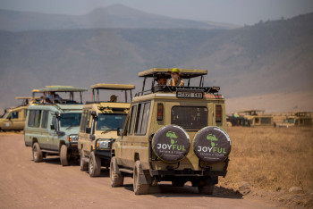 Joyful Safaris and Tours Photo