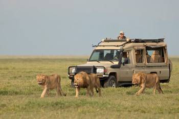 African Breeze Safaris Photo