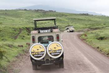 Bestday Safaris Photo