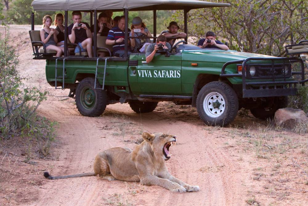 viva safari south africa
