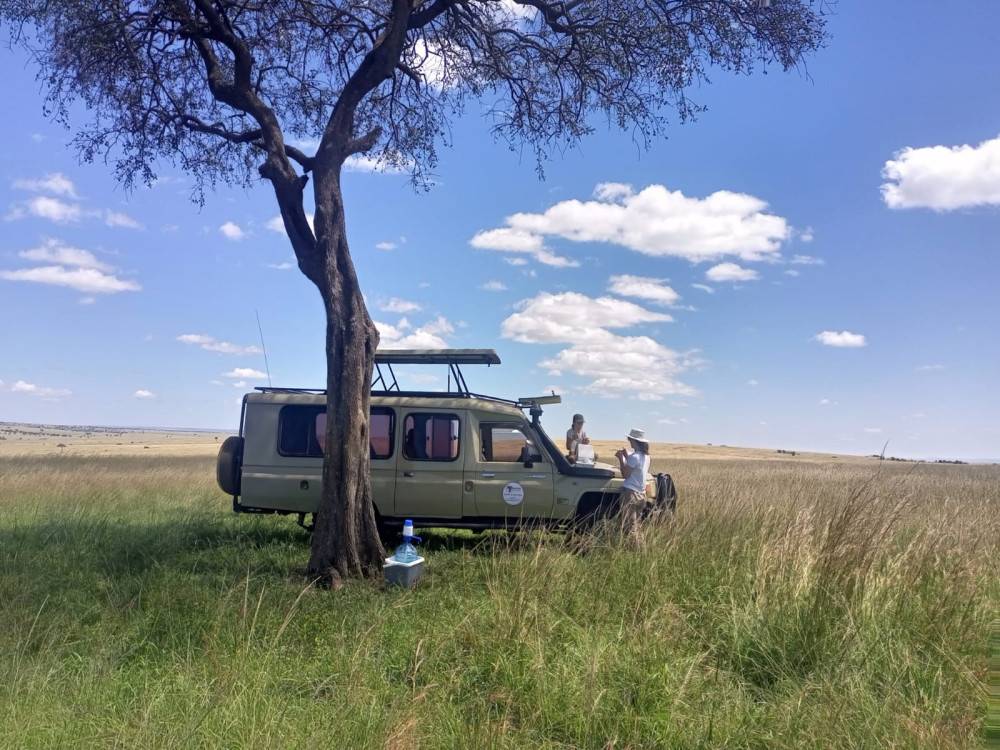 Reviews of Beyond the Plains Kenya Safaris (Kenya)