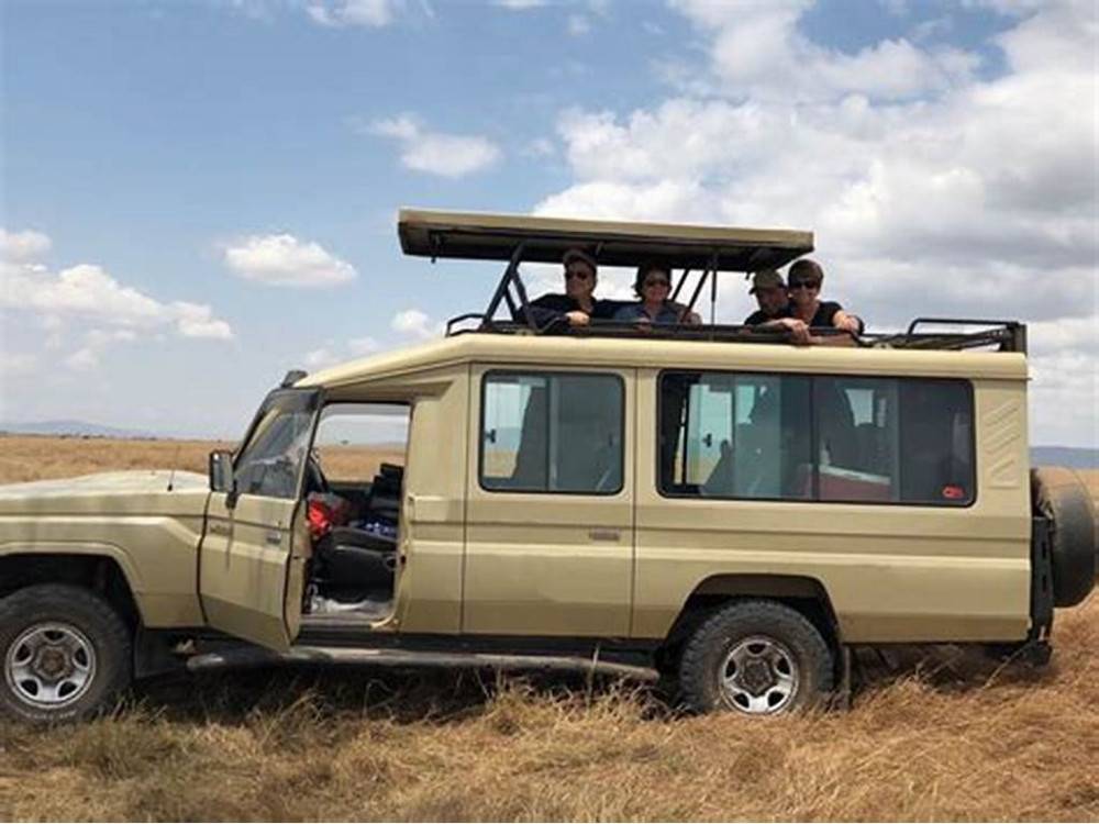 Reviews of Januz Safaris (Tanzania)