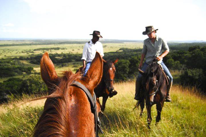 bhangazi horse safari