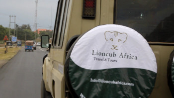 Lioncub Africa Travel & Tours 