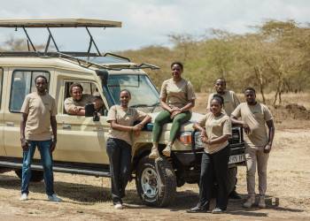 Mafie adventures company 