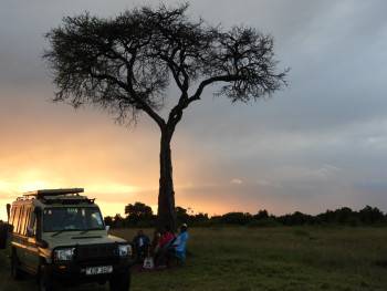 White Plains Safaris Photo