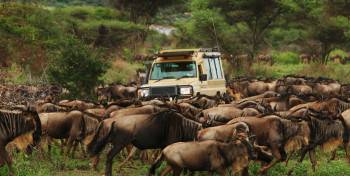Tracks of Africa Safari Adventure  Photo