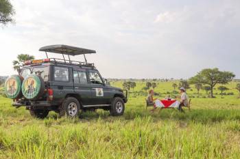 Pamoja Tours 4x4 fleet compatible for a Game drive