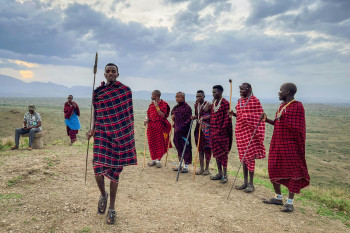 Skynex Tours and Safaris Photo