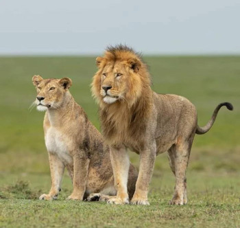 Ishara Tours Photo