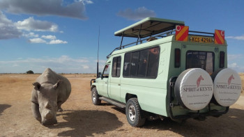 Safari vehicle in Safari