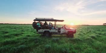 Early Kingfisher Safari Photo