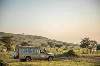 Game Drive with our Comfortable Jeeps