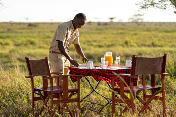 Bush Breakfast in Serengeti National Park