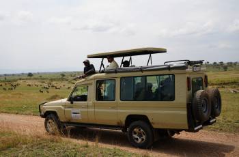 Elisam Tours Photo