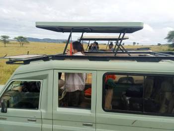 Giant Holiday Safaris Photo
