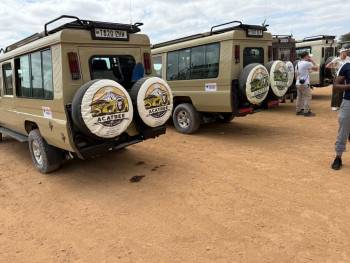 Acatree Tours and Safaris Photo