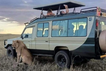 Mjusi Safaris  Photo
