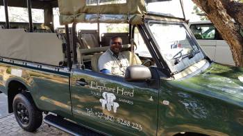 Elephant Herd Tours & Safaris Photo