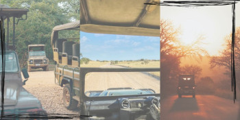 Big Bull Safaris Photo