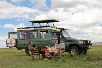 Safaris and hotel booking specialist