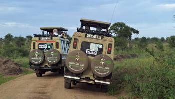 Wildlife Experience Tanzania Photo