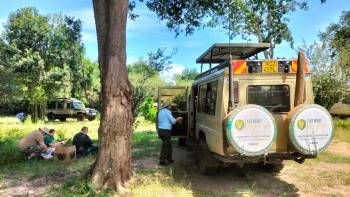 Leobeast Tours and Safaris Photo