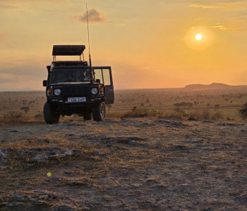 Pallid Safaris Photo