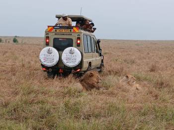 Bashan Safaris Photo