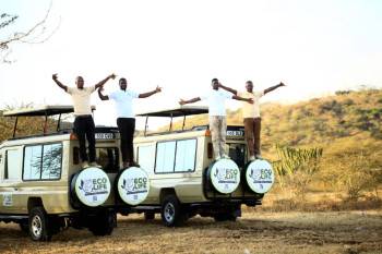 Ecolife Tours and Safaris Photo