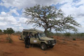 4X4 SAFARI JEEP
