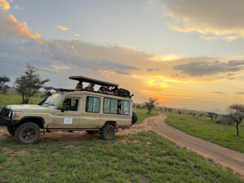 Lion Motorcycle Adventure 4x4 Safari Jeep 