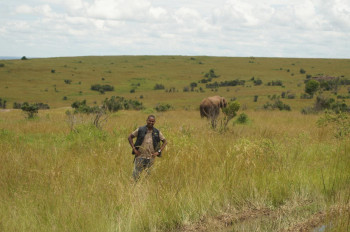 ENJOYING THE SAFARI EXPERIENCE THE AYAL WAY