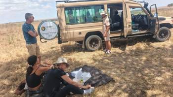 Leobeast Tours and Safaris Photo